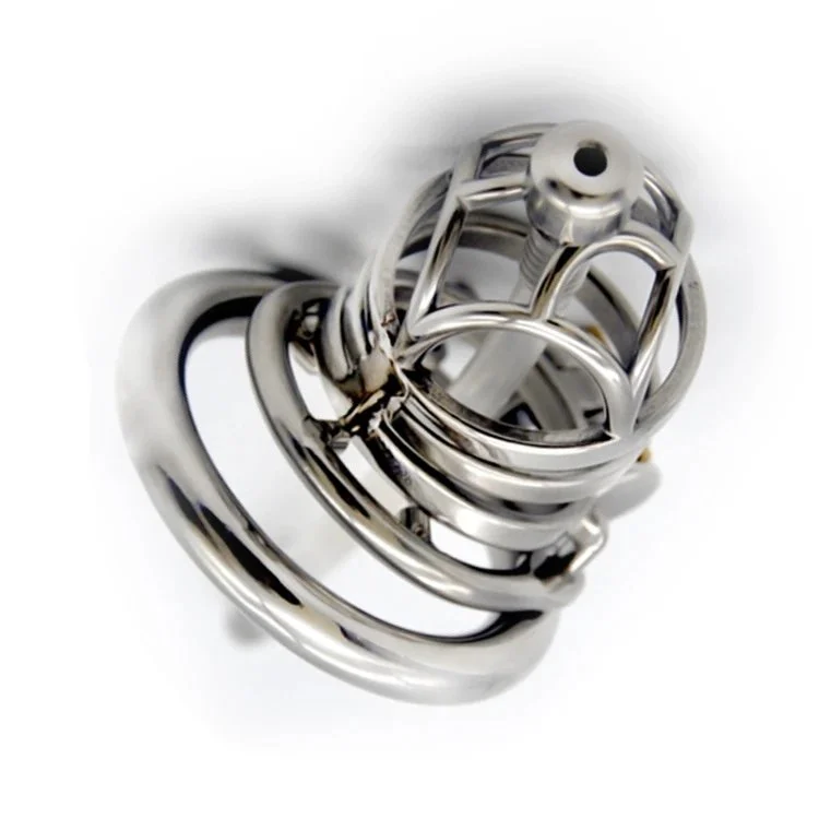 6cm Lock Penis in Cage Cock Cage Chastity Cage with Cock Ring Metal Chastity Device for Male