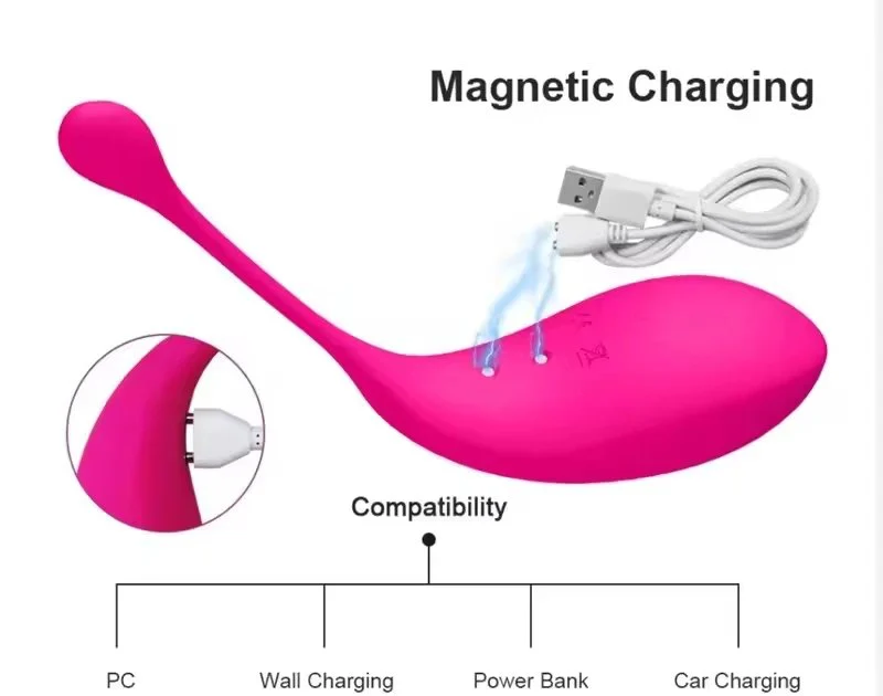 Wearable for Vibrator 10 Frequencies Rechargeable Silicone Waterproof Women's Masturbation Kegel Exercise Remote