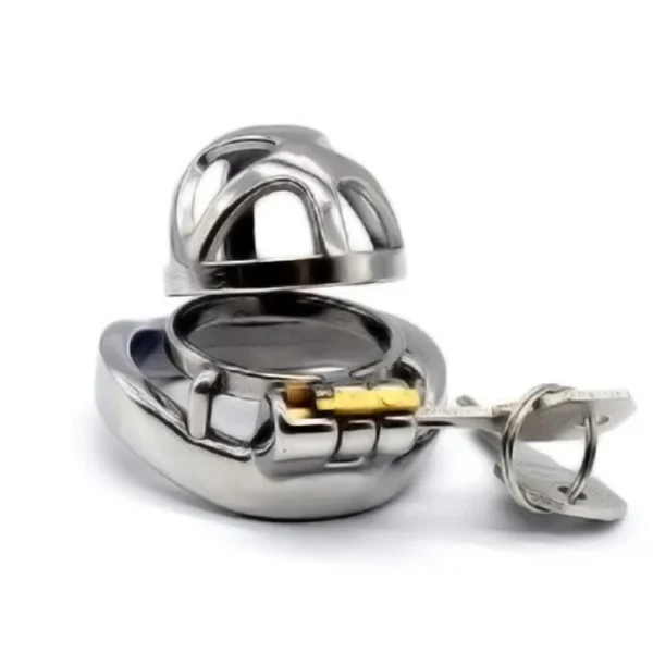 Lock Penis Cage Cock Cage with Keyholder Male Chastity Device Sex Toys Curved Cock Ring Chastity Cage for Male Masturbator