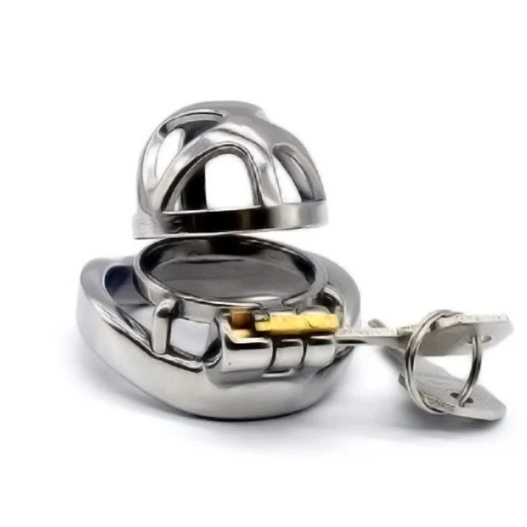 Lock Penis Cage Cock Cage with Keyholder Male Chastity Device Sex Toys Curved Cock Ring Chastity Cage for Male Masturbator