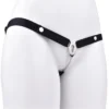 Male Chastity Cage Strap Chastity Device Penis Cage Accessories 304 Stainless Steel Chastity Device
