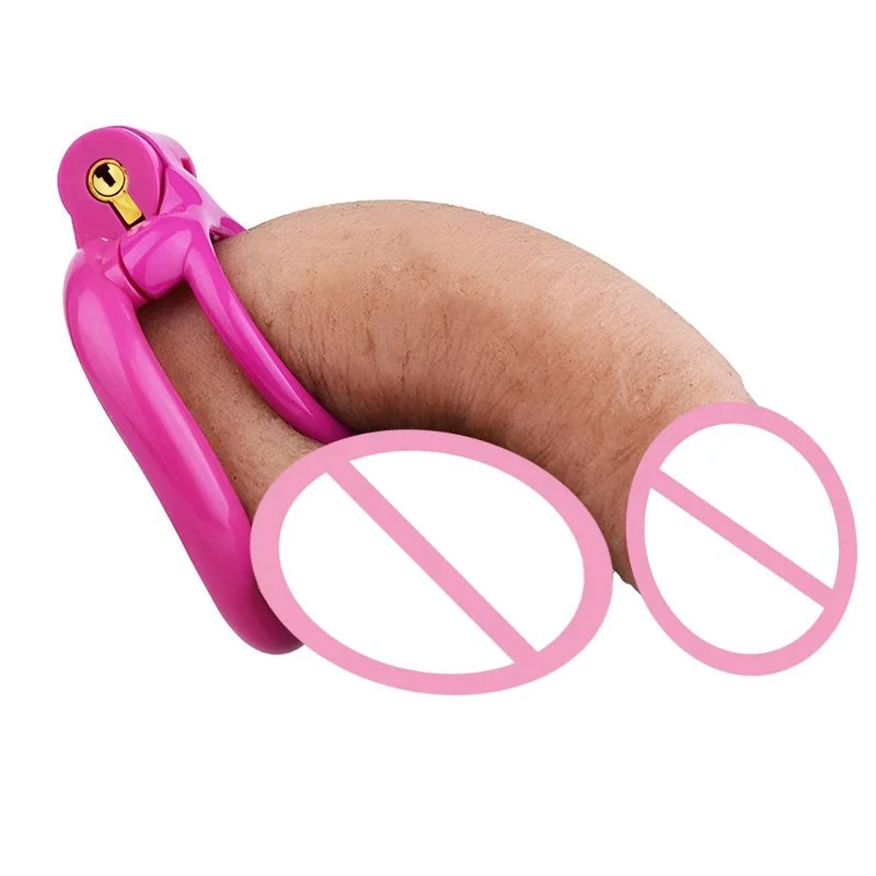 Super Price 3D Print Resin Cock Cage Delay Ejaculation Male Penis Cage Chastity Flirting Tool for Adult