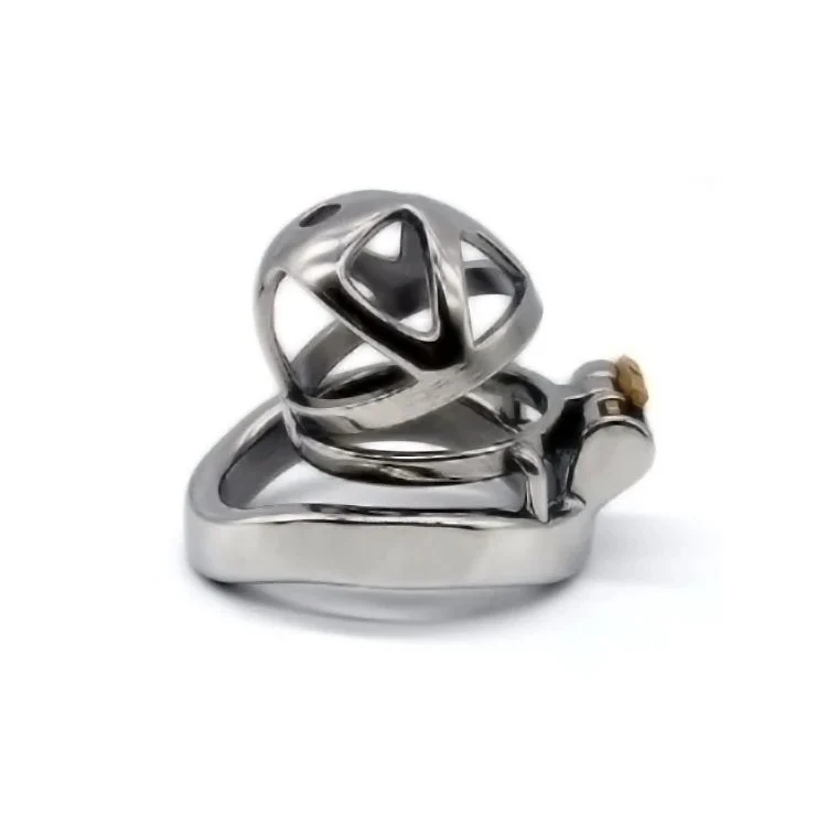 Lock Penis Cage Cock Cage with Keyholder Male Chastity Device Sex Toys Curved Cock Ring Chastity Cage for Male Masturbator