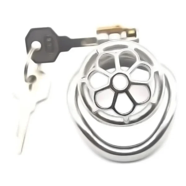 Stainless Steel Cock Cage with Padlock Male Urethral Cuckold Cock Chastity Cage