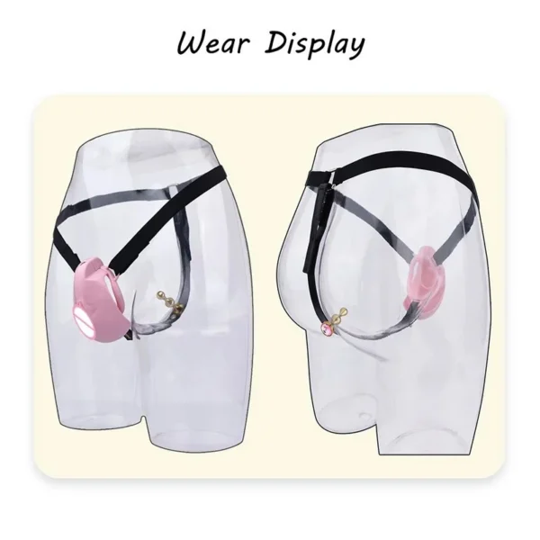 Realistic Vagina Fully Male Chastity Cage Device Pussy Hole Resin Cock-Lock with Gift Box Chastity Band Belt Toys