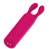Rechargeable Sexual Pleasure Tools Personal Massager Clitoral G Spot Stimulation APP Control Rabbit Bullet Vibrator for Women
