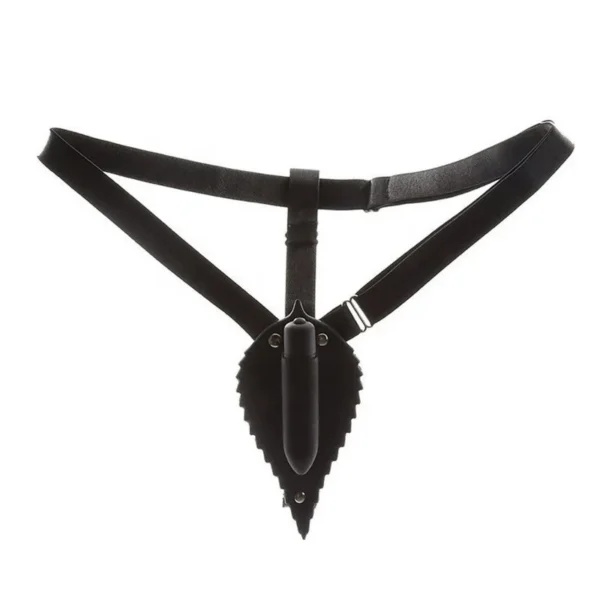 Leaf Shape Bullet Vibrator Panty Invisible Masturbation Underwear