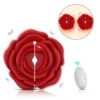 Nipple Clamps Vibrator Sex Toys Nipple Toys Women Sex Pleasure Toys Stimulator with 10 Vibrating Modes