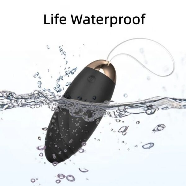 Wireless 10-Frequency Clitoris Vibrating Egg Sex Toy for Couples USB-Powered Panty and Wearable Vibrator Remote Control