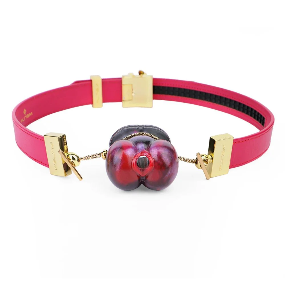 Liquid Silicone Mouth Gags Sex Toy Gag for Bondage Shaped Slave Master Play Three Colors and Many Ways to Match the Sm Gag