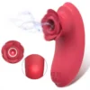 Waterproof 10 Speeds G Spot Rose Nipple Clitoris Sucking Vibrator for Women Masturbation Rose Vibrator With Handle