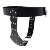 Bondage Chastity Pants Underwear Chastity Lock Adult Chastity Pants for Women Sex Underwear Restraint Strap