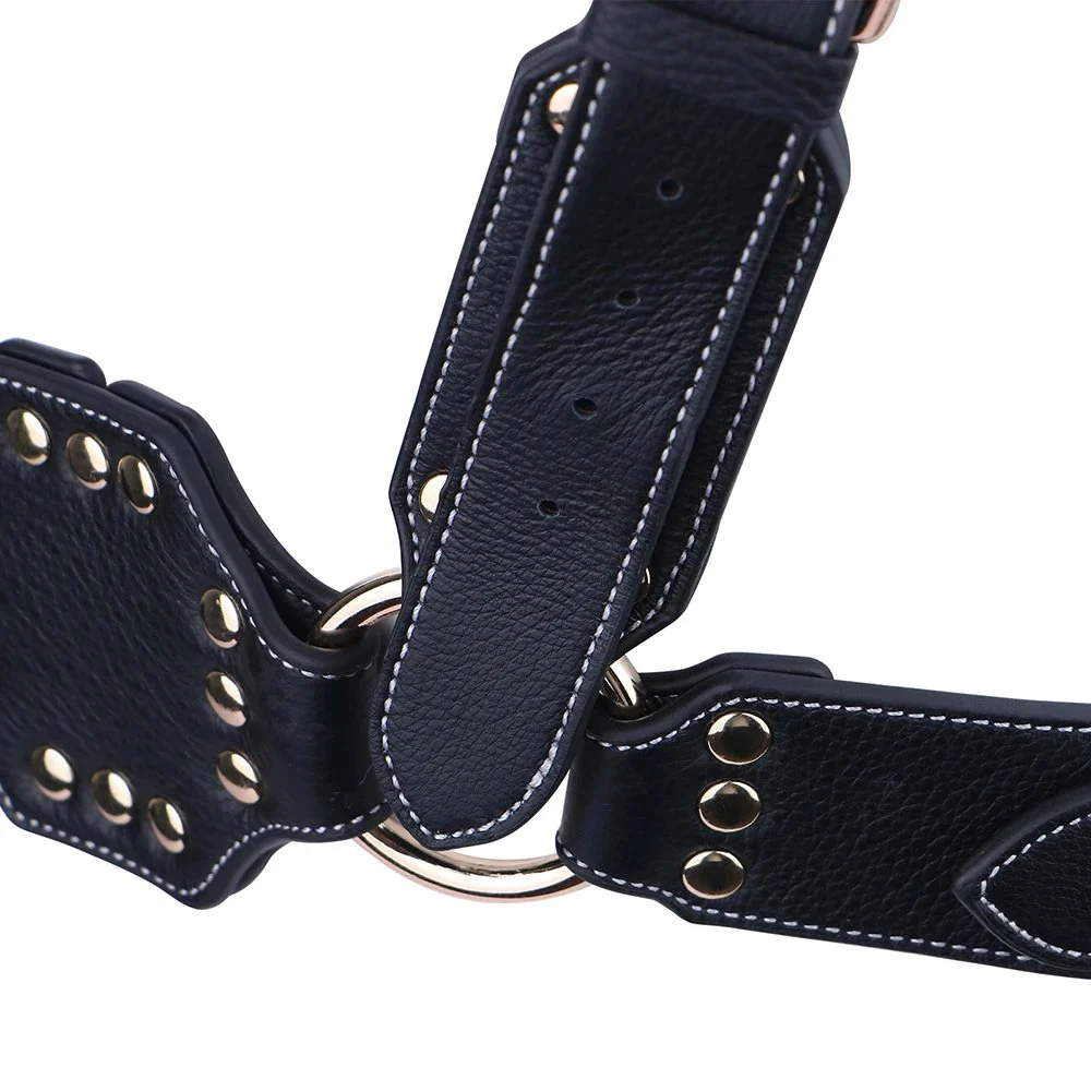 Sexual Chest Wild Iron Bind Strapon Double Dildo and Harness for Men Leather Bondage