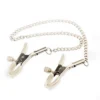 Fetish Metal Nipple Clamps for Couples' Flirting Bondage Sex Toys Pleasure
