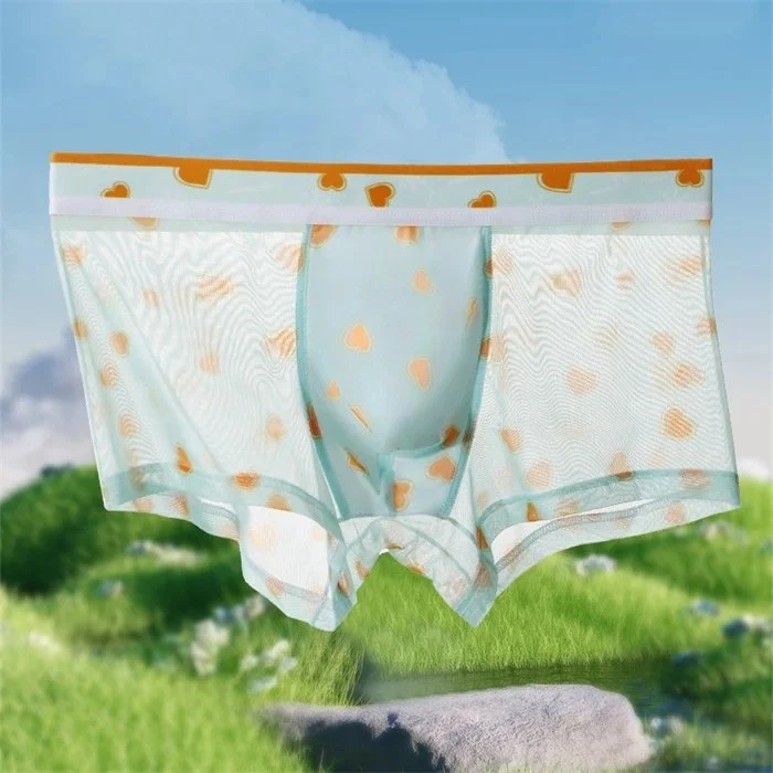 Super Thin Men Shorts Icy Silk Boxer Briefs for Men Mesh Sexy Underwear