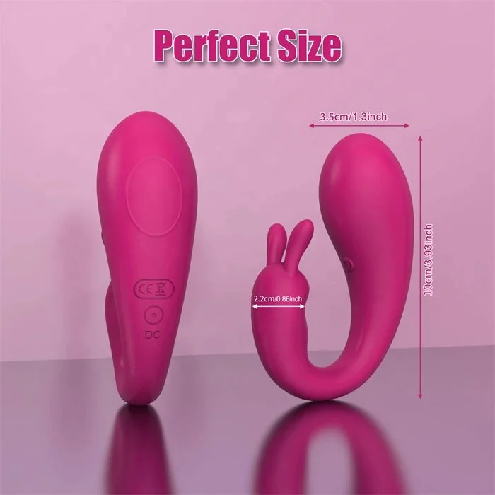 APP Controlled 9 Frequency Kegel Ball G-Spot Vibrator Wearable Clitoris Stimulating Vaginal G-Spot Vibrator Female USB Power