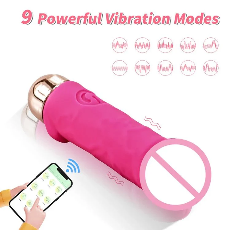 APP Charging AV Vibrator Mini Bullets Dildo Vibrator for Female Masturbator