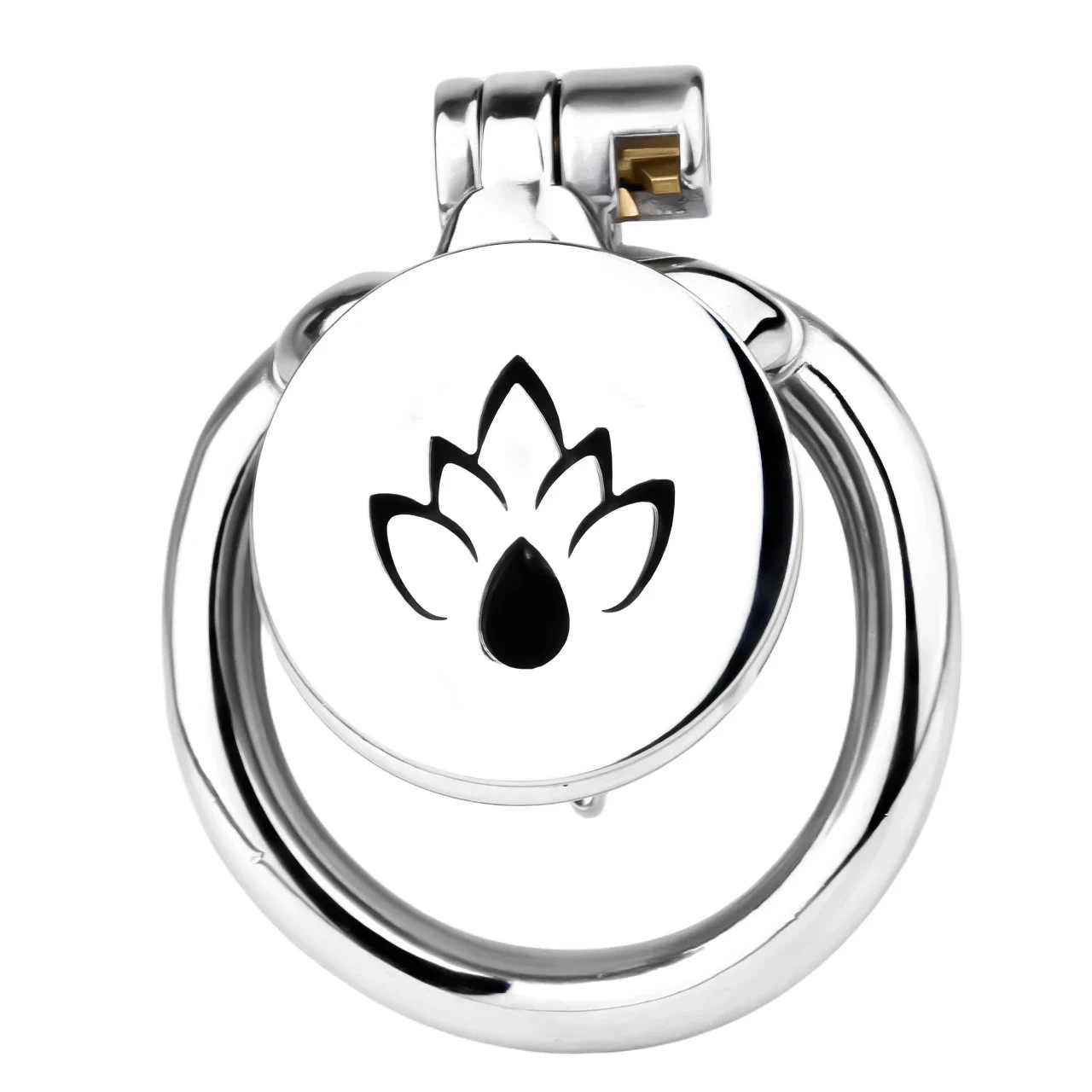 Four Sizes of Chastity Locks with PA Rings Compact Sturdy Cages Flirting for Men