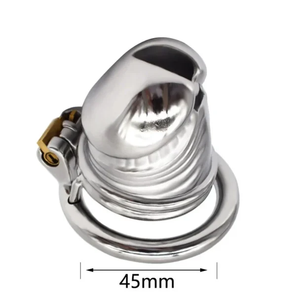 head Stainless Steel Dildos Male Chastity Device Cage for Men Lock Cock Spermary Rings Chastity Cage Lock
