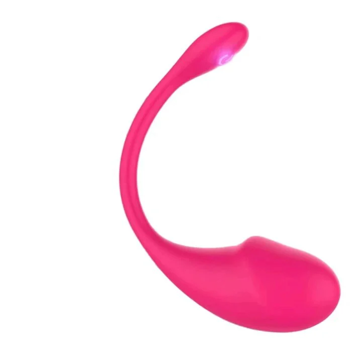 APP Remote Control G-Spot Panty Vibrator Bullet Vibrator Jump for Egg Clit Stimulator Kegel Ball Wearable Sex Toy