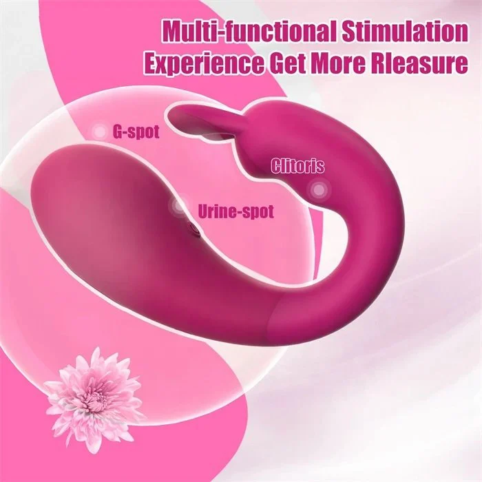 APP Controlled 9 Frequency Kegel Ball G-Spot Vibrator Wearable Clitoris Stimulating Vaginal G-Spot Vibrator Female USB Power