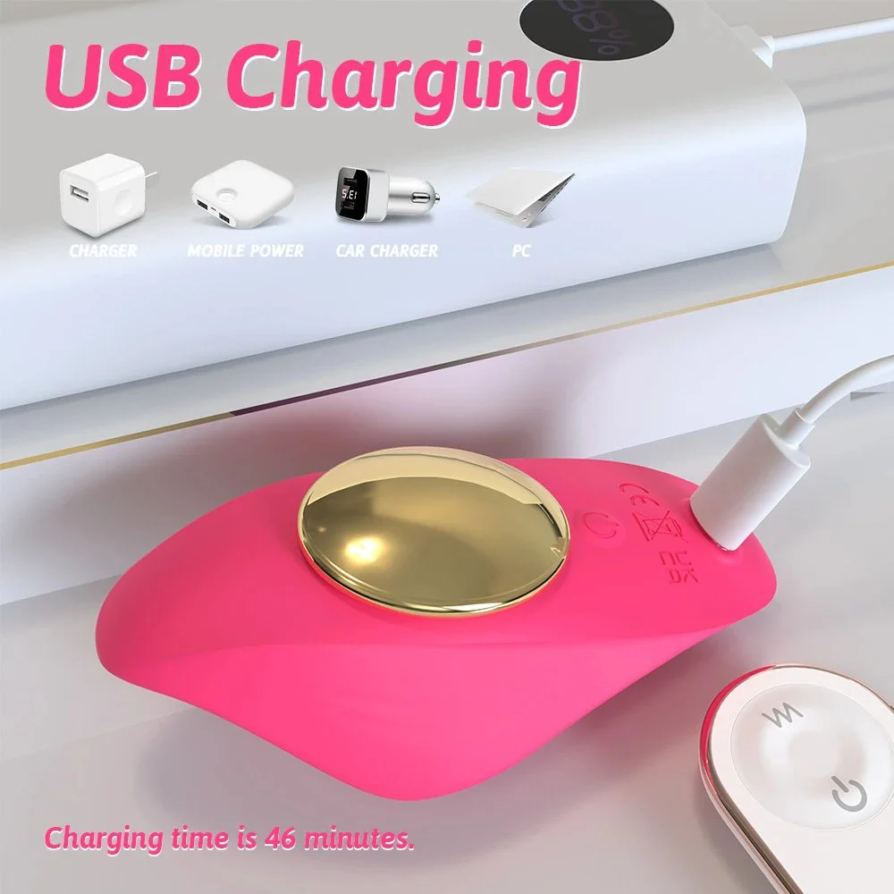 Remote Control 9 Vibration Modes G Spot Wearable Panty Vibrator Female Sex Toy