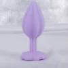 Purple plum Blossom Silicone Posterior Vestibular Anal Plug Adult Sex Toy Anal Butt Plug Sex Toys