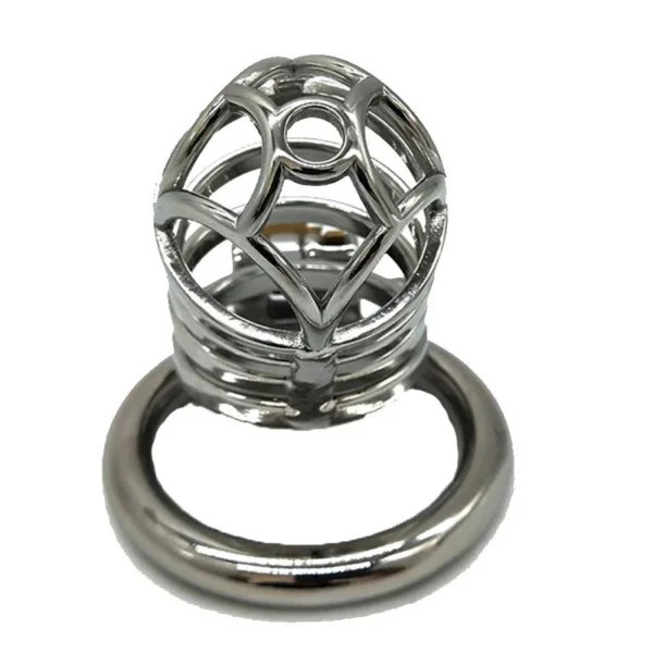 6.6cm Man Chastity Lock Penis in Cage with Key Male Chastity Device Metal Chastity Cage