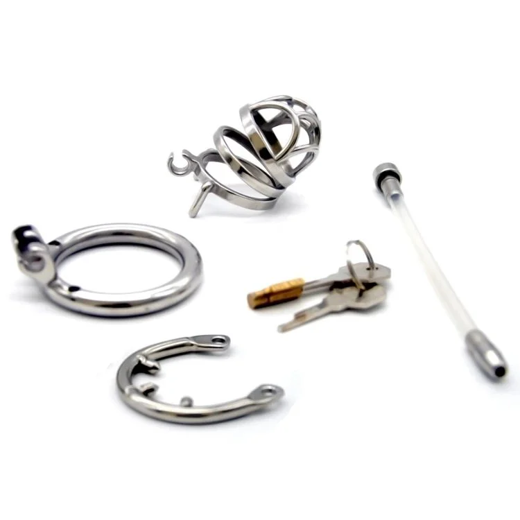 6cm Lock Penis in Cage Cock Cage Chastity Cage with Cock Ring Metal Chastity Device for Male