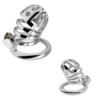 66mm Stainless Steel Male Chastity Cage, High Security Cock Lock for & Bondage Play