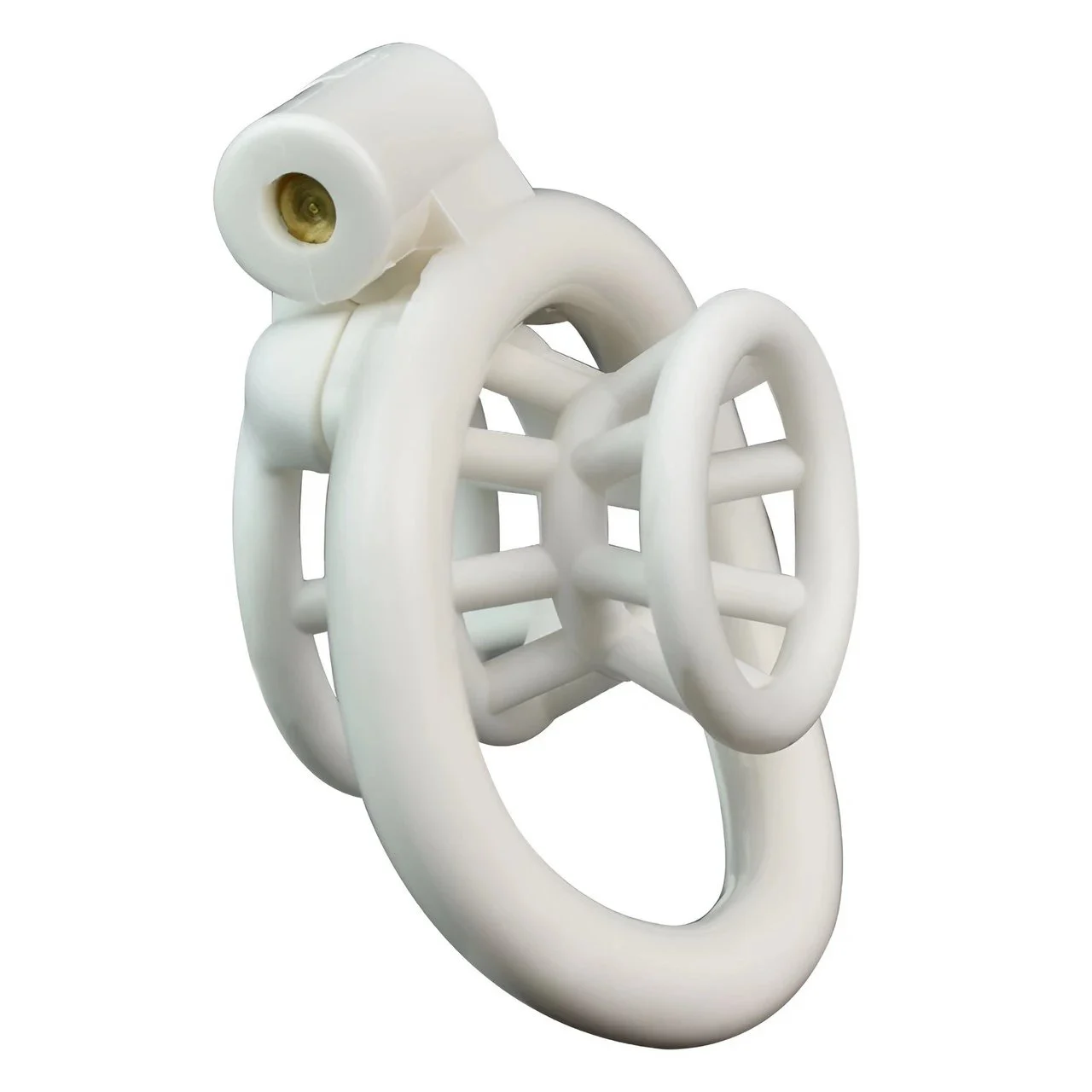3D Printed Resin Chastity Lock Penis Lock Male Dick Toys Male Chastity Device Chastity Cage Sex Toys for Men