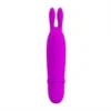 G Spot Clitoral Stimulator Pretty Love Small Cute Bunny Ears Bullet Vibrator Rabbit Vibe Dildo Vibrators