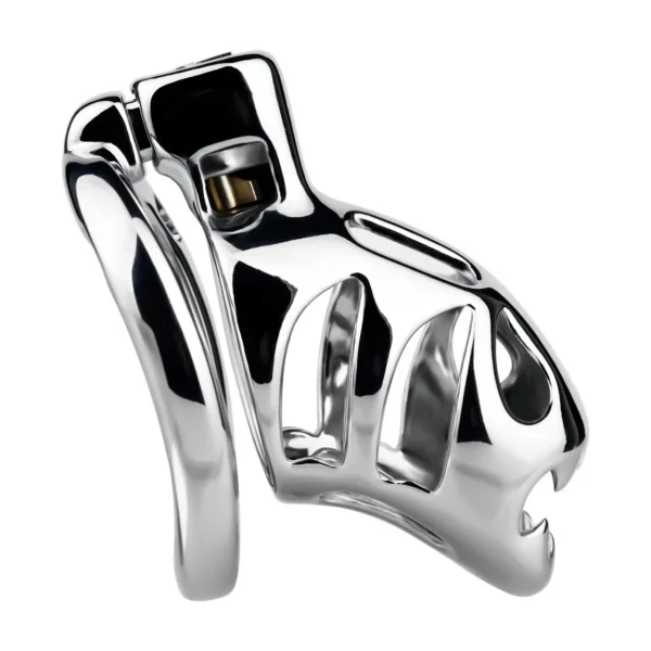 Male Chastity Cage Wearable Male Chastity Cage Metal Cage for Spicing up Intimacy Sex Toy Available in Four Sizes