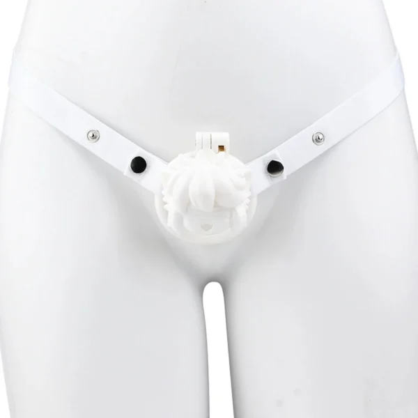ABS Resin Chastity Lock Cage Wearable Sex Toys Penis Chastity Lock Bondage Belt Sex Toy for Men Gay Alternative Sex Product