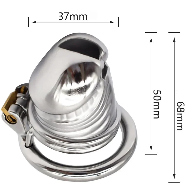 head Stainless Steel Dildos Male Chastity Device Cage for Men Lock Cock Spermary Rings Chastity Cage Lock