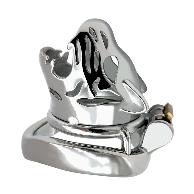 6cm Curved Ring Lock Male Penis Restrain Cage Chastity Device 304 Stainless Steel Cock Cage with Keyholder for Man