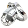 60mm Male Chastity Cage Curved Cock Ring 304 Stainless Steel Lock Penis Cage with Keyholder for Him