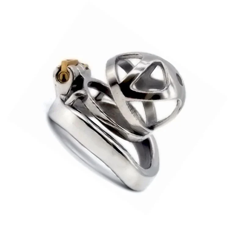 Lock Penis Cage Cock Cage with Keyholder Male Chastity Device Sex Toys Curved Cock Ring Chastity Cage for Male Masturbator
