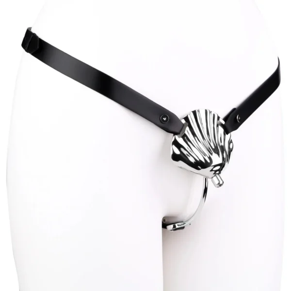 Male Penis Chastity Cage Wearable Metal Penis Restraint Lock with Urinary Catheter and Stainless Steel Anal Plug Suitable