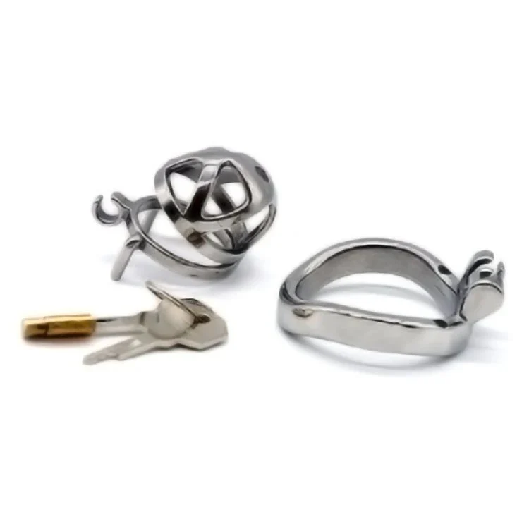 Lock Penis Cage Cock Cage with Keyholder Male Chastity Device Sex Toys Curved Cock Ring Chastity Cage for Male Masturbator