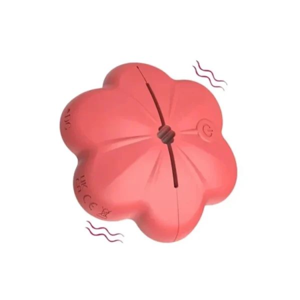 New Hot Female Breast Clip Vibrator 10 Vibration Wireless Sex Toys Vibrating Nipple Clamps